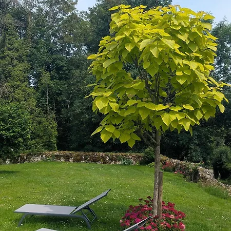 Maison Charmante A Avec Wi-fi Et Parking - Fr-1-611-43 Ferienhaus